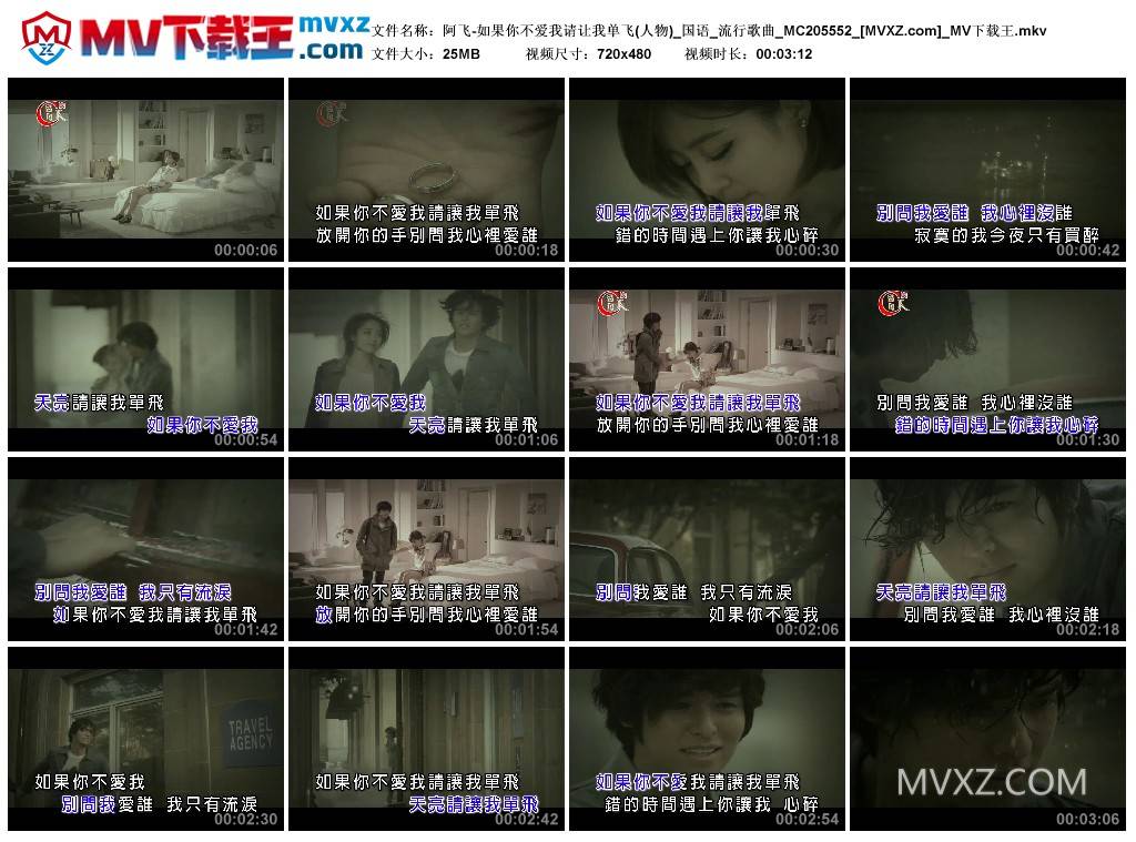 阿飞-如果你不爱我请让我单飞(人物)_国语_流行歌曲_MC205552
